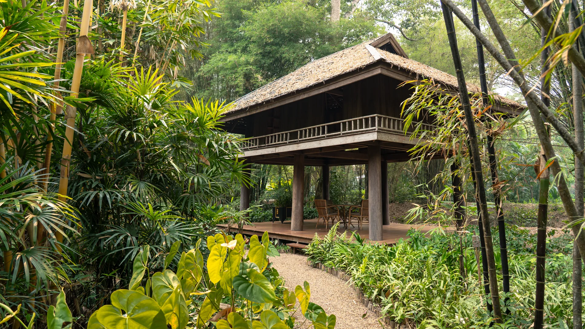 Villa traditionnelle en bois au cœur de la verdure tropicale, à Tatvani, Chiang Rai